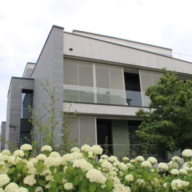 MFH Schindellegistrasse - 98